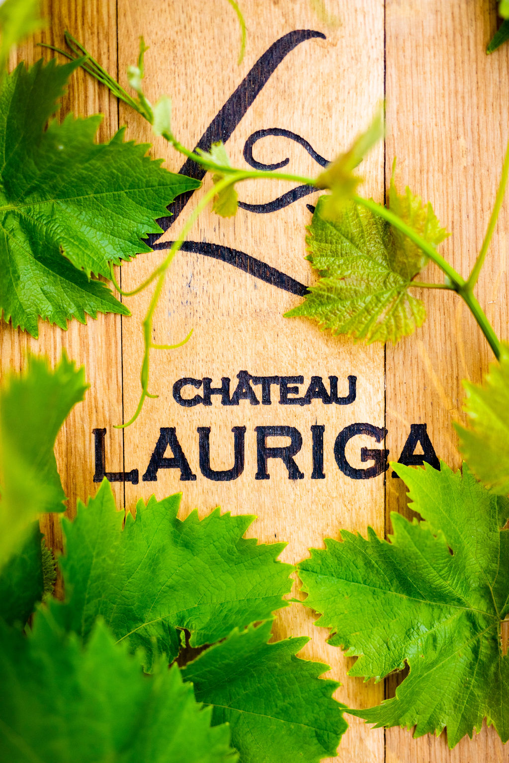 Oenologie - Chateau Lauriga (2)